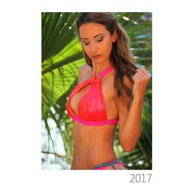Wand-Kalender 2017! als PDF-Download